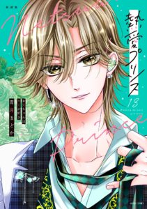 新装版 熱愛プリンス お兄ちゃんキミが好き 13