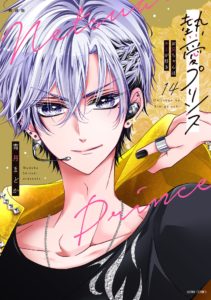 新装版 熱愛プリンス お兄ちゃんキミが好き 14