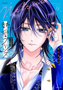 新装版 熱愛プリンス お兄ちゃんキミが好き 16