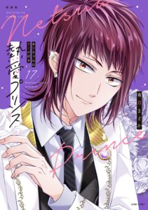 新装版 熱愛プリンス お兄ちゃんキミが好き 17