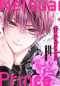 熱愛プリンス お兄ちゃんはキミが好き 20