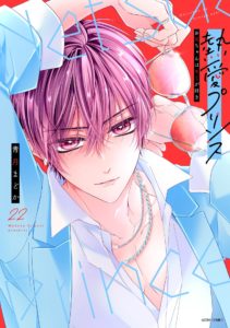 熱愛プリンス お兄ちゃんはキミが好き 22